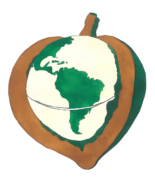 Macadâmia Tropical